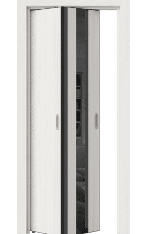 Межкомнатная дверь INDUSTRIAL 2 со Складной Системой BOOK